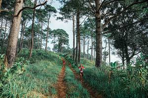 BIB: 
                            <button type="button" onclick="openModal(25652473)" class="btn btn-primary btn-sm float-right btn-popup" data-toggle="modal" data-target=".modal-high-quality">
                        <i class="fas fa-shopping-cart"></i> Add to Cart
                    </button>
                                            <button type="button" onclick="isThisMe(25652473, true)" class="btn btn-success btn-sm float-right btn-popup btn-isme hidden" data-toggle="tooltip" data-placement="bottom" title="นี่คือรูปของคุณใช่ไหม คลิกที่นี่เพื่อเอาเข้าอัลบั้ม">
                        <i class="fas fa-plus"></i> Add to album
                    </button>
                    <button type="button" onclick="isThisMe(25652473, false)" class="btn btn-warning btn-sm float-right btn-popup btn-isnotme hidden">
                        <i class="fas fa-ban"></i> Remove from album
                    </button>